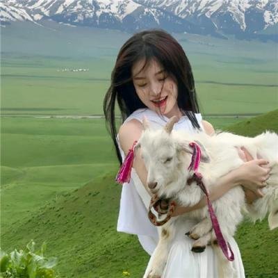 情场玩咖海报